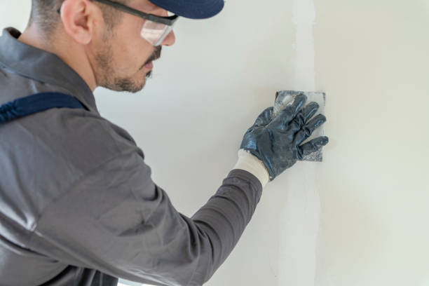 Best Emergency Mold Remediation  in Brazoria, TX