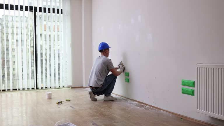 Best Attic Mold Removal  in Brazoria, TX